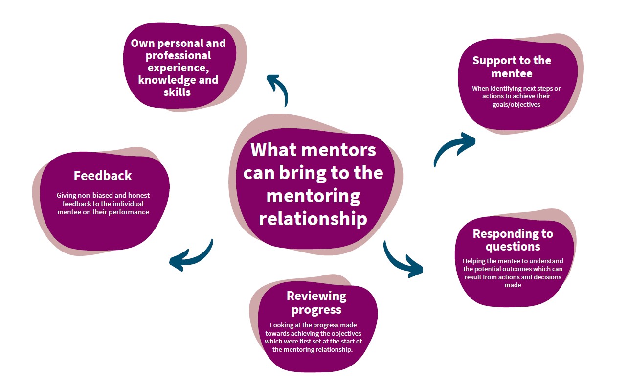 Graphic of what mentors can bring to the relationship